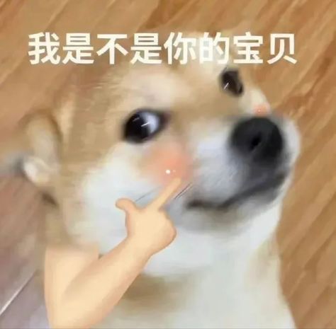 Chinese Meme, Bahasa China, Mandarin Lessons, Chinese Picture, Silly Words, Basic Chinese, Mandarin Chinese Learning, Puppies Cute, Chinese Lessons