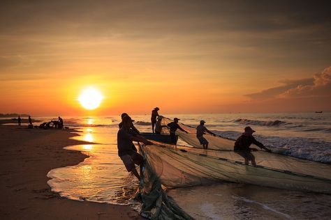 The Fishermen Vietnam Fishing - Free photo on Pixabay Fisher Man, Brook Trout, Largemouth Bass, Halong Bay, Fishing Nets, Fishing Life, Papa Francisco, Going Fishing, Kayak Fishing