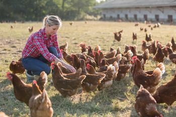 Farmers Market Vendor, Female Farmer, Chicken Health, Natural Antibiotics, Baby Chicks, Animal Welfare, Health Issues, Farmers Market, Agriculture