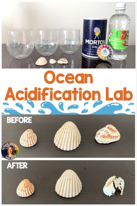 Marine Science Projects, Freshwater Vs Saltwater Activities, Marine Science Activities, Ocean Animal Science Experiments, Marine Biology Activities High School, Ocean Currents Activity, Aquatic Science High School, Marine Biology Crafts, Marine Biology Activities