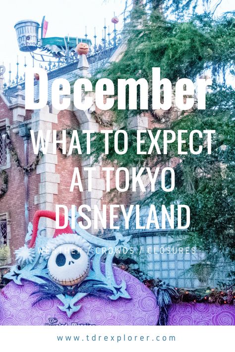 What to expect at Tokyo Disneyland and Tokyo DisneySea if you choose to visit in December! Tokyo In December, Disneyland Trip Planning, Disney Tokyo, Disney Gift Card, Shanghai Disneyland, Tokyo Disneysea, Disneyland Christmas, Month Of December, Visit Tokyo