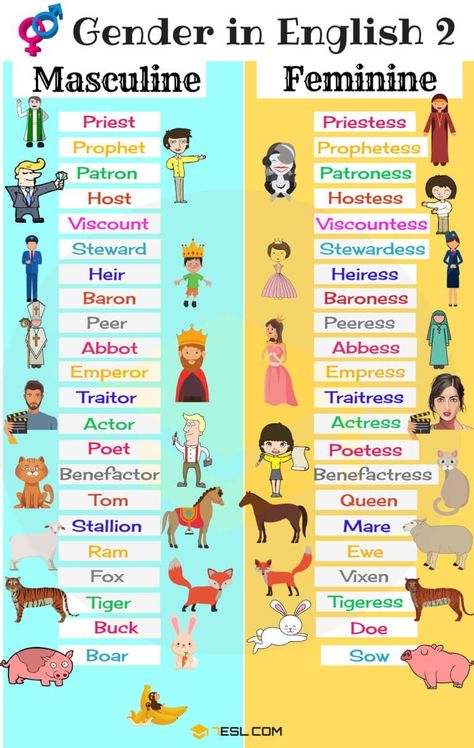 Gender of Nouns | Masculine and Feminine List in English Gender In English, Masculine And Feminine Gender, Gender Of Animals, Gender Of Nouns, Gender Words, Animals List, Masculine And Feminine, Learning English For Kids, Learn English Grammar