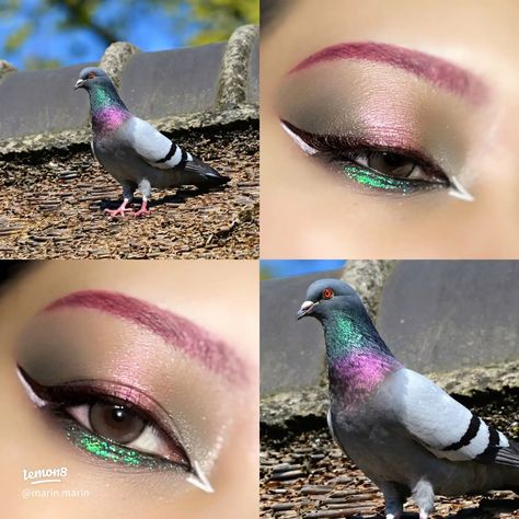 The model I modeled was "Kawara pigeon" Inhabited in Europe, Central Asia, North Africa. It seems to eat bread that humans eat as Pigeon Makeup, Pigeon Hair, Pigeon Costume, Soft Girl Makeup, Expensive Makeup, Latina Makeup, Makeup List, Nose Contouring, How To Apply Concealer