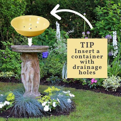 14 Birdbath Planter Ideas for Your Garden | Empress of Dirt Birdbath Planter Ideas, Birdbath Planter, Birdbath Ideas, Bird Bath Planter, Garden Planter Ideas, Bird Bath Bowl, Bath Garden, Mini Rock, Garden Nook