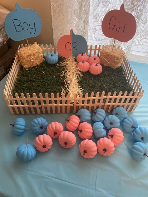 Gender Pumpkin Reveal, Halloween Pumpkin Gender Reveal, Halloween Gender Reveal Party Favors, Horror Theme Gender Reveal, Fall Gender Reveal Party Games, Gender Reveal Ideas For Party Pumpkin, Fall Halloween Gender Reveal, Hello Pumpkin Gender Reveal, Spooky Halloween Gender Reveal