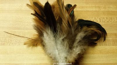 How To Clean Feathers, Wash Feather Pillows, Hawk Feathers, Feather Diy, Raise Chickens, Pheasant Feathers, Feather Crafts, Feather Pillows, Dishwasher Soap