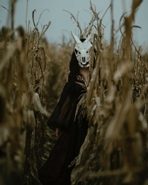 Dark Fantasy Photography, Gothic Photography, Horror Photos, October Autumn, Corn Field, Dark Witch, Witch Fashion, American Gothic, Creative Portrait Photography