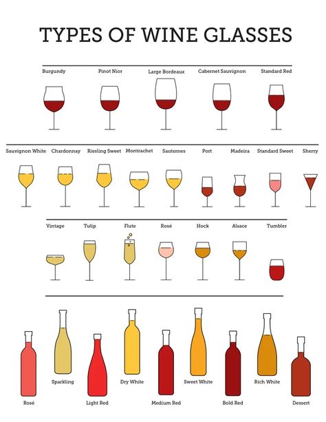 Types of Wine Glasses Explained: A Comprehensive Guide Types Of Wine Glasses, Types Of Red Wine, Red Desserts, Different Types Of Wine, Fun Wine Glasses, Wine Knowledge, Different Wines, Expensive Wine, Wine Guide