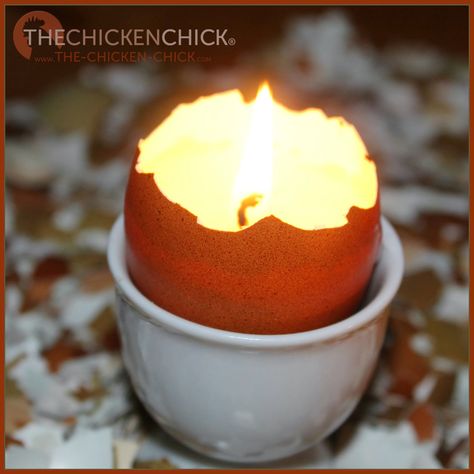 Eggshell Candles Eggshell Candles, Egg Holders, Shell Candles, Chicken Chick, Cracked Egg, Candle Supplies, Porcelain Eggs, Plastic Eggs, Small Spoon