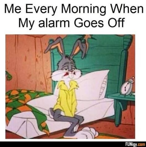 good morning wishes- memes- funny Indrid Cold, Funny Good Morning Quotes, Looney Tunes Cartoons, Memes Humor, Gym Humor, Old Cartoons, Bugs Bunny, Classic Cartoons, Vintage Cartoon