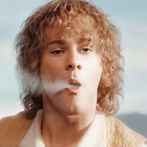 #merry #merryadoc #merryadocbrandybuck #lotr #thelordoftherings #icon #icons Merry Lotr, Meriadoc Brandybuck, Merry Brandybuck, Lotr Characters, Dominic Monaghan, Merry And Pippin, Frodo Baggins, Middle Earth, Lord Of The Rings