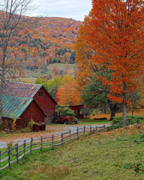 Yankee Magazine (@yankeemagazine) • Instagram photos and videos New England Farm, Farm Aesthetic, New England States, Autumn Magic, Country Lifestyle, Cottage Core Aesthetic, Farm Scene, Autumn Scenery, Autumn Cozy