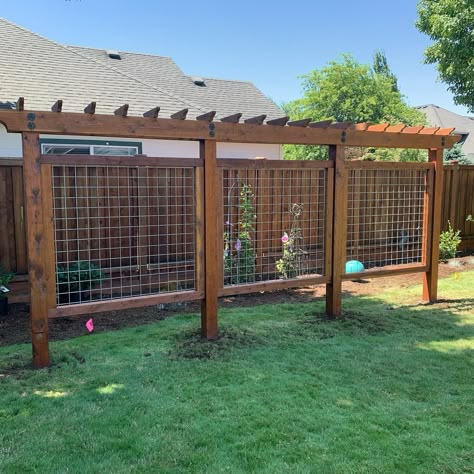 Fence Arbor Ideas, Garden Outline Ideas, Home Privacy Ideas, Outdoor Arbor Ideas Backyards, Grape Vine Pergola Trellis Ideas, Fence Trellis Ideas Climbing Vines, Grape Vine Privacy Fence, Vine Trellis Privacy Screen, High Fence Ideas Privacy