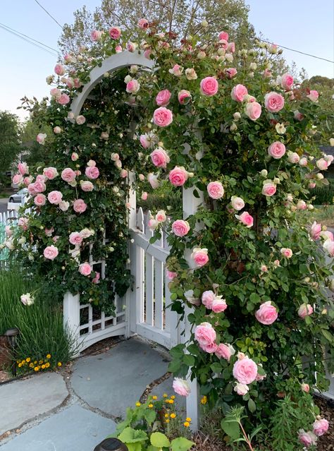 Rose Garden Cottage, Pink Garden Decor, French Rose Garden, Peonies Front Yard, Flower Arch Garden, Pretty Garden Ideas, English Roses Garden, Garden Fancy, Backyard Landscaping Flowers