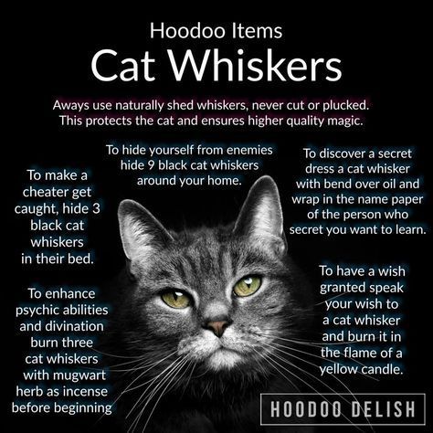 Cat Spells, Hoodoo Magic, Hoodoo Spells, Voodoo Hoodoo, Wiccan Witch, Magick Spells, Eclectic Witch, Wiccan Spell Book, Witchcraft Spell Books