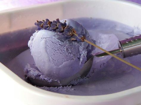 Lavander ice cream- tastes like cotton candy! Lavender Ice Cream, Lavender Recipes, Lavender Cottage, Ice Cream Desserts, Homemade Ice, Sugar Rush, Homemade Ice Cream, Frozen Desserts, Frozen Treats