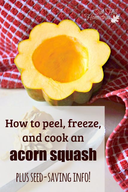 How to freeze and cook an acorn squash, and how to save its seeds to plant in next year's garden. Acorn Squash Recipes Healthy, Freezing Squash, Freezing Veggies, Squash Butternut, Freezing Vegetables, Food Preserving, Freezer Food, Canning Ideas, Acorn Squash Recipes