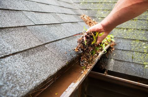 Prevent Costly Damage—Clean Your Gutters Today! Clogged gutters lead to water damage and foundation issues. Let our pros at South St. Louis Handyman take care of it! 🍂 We serve Sunset Hills, St. Louis Hills, and Kirkwood. Call today to book your spot! #GutterCleaning #FallMaintenance #STLHandyman #StLouisFall” Clean Burnt Pots, Gutter Protection, Seamless Gutters, Gutter Repair, Gutter Cleaning, How To Install Gutters, Roof Cleaning, November 1st, Landscaping Supplies