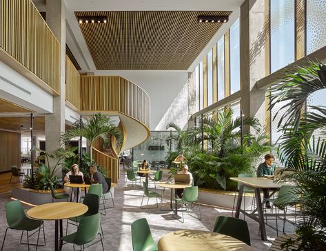 Office Collaboration Space, Bubble Diagram Architecture, Atrium Design, Design Cafe, Biophilic Design, Workspace Design, Restaurant Interior Design, Interior Garden, Hotel Lobby