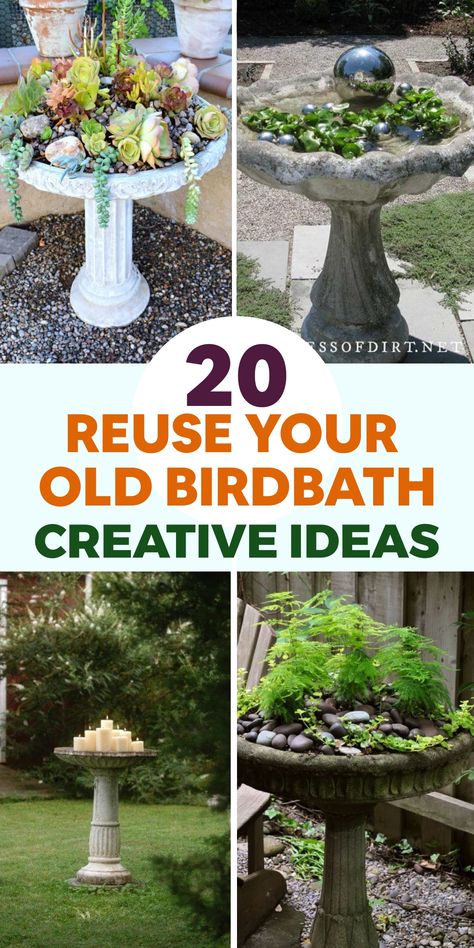 Transform your old birdbath into a stunning herb garden oasis! Fill it with soil and plant basil, mint, and rosemary for easy-to-access fresh herbs. This repurposed birdbath not only adds beauty to your garden but also attracts butterflies and bees. Enhance your outdoor space with this functional yet aesthetically pleasing herb garden that elevates every meal with homegrown flavors. Enjoy the benefits of gardening while creating a vibrant green corner in your yard! Succulent Birdbath Planter, Bird Bath Stand Repurpose, Diy Birdbath Ideas, Birdbath Ideas, Bird Bath Ideas, Diy Birdbath, Bird Bath Planter, Flower Garden Pictures, Tire Garden