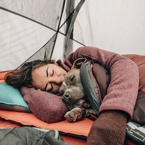 Travel With Dog Aesthetic, Dog Road Trip, Road Trip With Dog, Trip Aesthetic, Pro Plan, Camping Aesthetic, Purina Pro Plan, Dog Camping, Dog Adventure