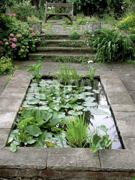 100 Backyard Pond Ideas to Inspire Your Garden Transformation Backyard Pond Ideas, Tanaman Air, Garden Transformation, Spray Park, Backyard Pond, Small Pond, Pond Ideas, Pond Landscaping, Pond Design