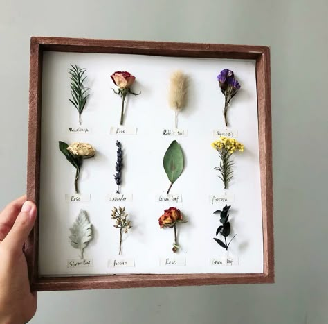 Pressed Flower Display, Pressed Botanical Art, Flower Pressing, Pressed Flower Crafts, Flowers Frame, Wall Flowers, Flowers Photo, Wall Photo, Pressed Flower Art