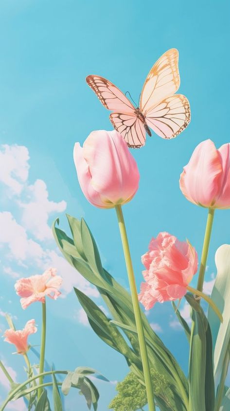 Butterfly and tulip flower outdoors nature petal. | premium image by rawpixel.com / Wee Tulip And Butterfly, Flower Wallpaper Tulips, Flowers Wallpaper Tulips, Tulips With Butterflies, Tulips Garden Design, Tulips And Butterflies, Tulip Landscape Wallpaper, Garden Of Eve, Blue Butterfly Wallpaper