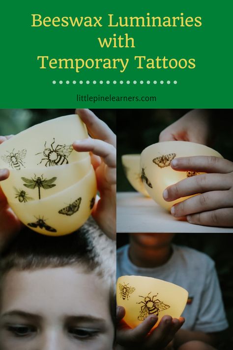 Beeswax Luminaries with Temporary Tattoo Decorations • Little Pine Learners Beeswax Luminaries, Beeswax Crafts, Luminary Diy, Black Line Tattoo, Nature Education, Candle Luminaries, Candle Projects, Diy Crafts For Teens, Pressed Flower Crafts