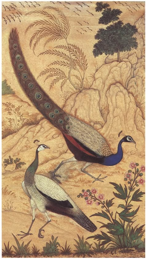 Mughal Peacock, Islamic Illumination, Mughal Miniature Paintings, Mughal Miniature, Phd Research, Rajasthani Painting, Mughal Art Paintings, Indian Miniature, Mughal Paintings