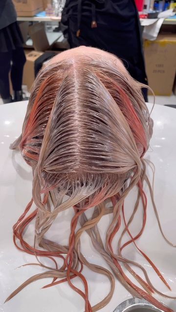 HAIRSTYLIST | EDUCATOR | SUPER MOM on Instagram: "When the beat drops🔥🔥 @schwarzkopfpro Using all BlondMe Toners 💧Ice 💧Sand 💧Peach Sorbet #essentiallooks #schwarzkopfusa #schwarzkopfprofessional #springtrends #schwarzkopfcan #colortrends #haircolor #hairtrends #colorblock #behindthechair #winnipeg #summer2022 #behindthechair #hairbrained_official #igoravibrance #blondme #evenmorevibrance" Blondme Schwarzkopf Toner, Schwarzkopf Toner, Blondme Schwarzkopf, When The Beat Drops, Beat Drop, Peach Sorbet, Colour Hair, Schwarzkopf Professional, Pink Highlights