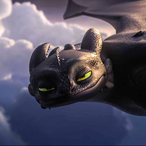 Toothless Profile Picture, Stitch Homescreen, Toothless Aesthetic, Toothless Funny, Httyd Icons, Toothless Wallpaper, Cute Toothless, Httyd Toothless, Dragon Icon