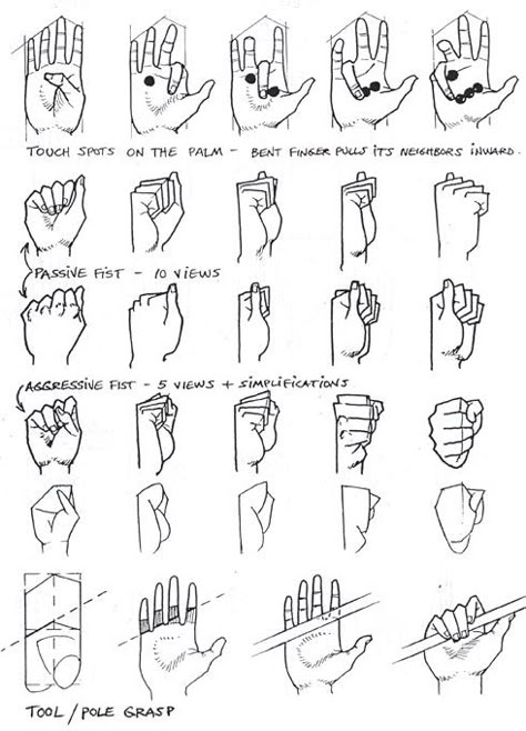 Draw Hands, 얼굴 그리기, Poses References, Anatomy Drawing, Guided Drawing, Anatomy Reference, Art Instructions, Drawing Skills, Drawing Lessons