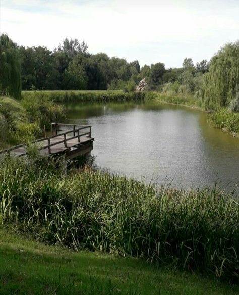 Country Pond Landscaping, Pond On Property, Pond Landscaping Ideas Large, Farm Pond Landscaping, Land With Pond, House On Pond, Pond In Backyard, Farmhouse Pond, Country Pond