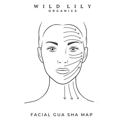 Face Map, Facial Gua Sha, Double Chin Exercises, Chin Exercises, Face Yoga Facial Exercises, Face Mapping, Gua Sha Massage, Diy Skin Care Recipes, Facial Exercises