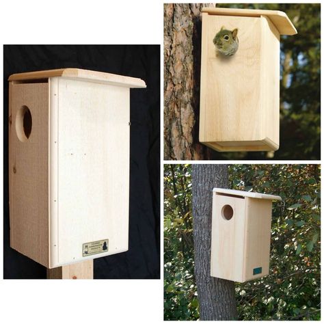 Squirrel House Diy How To Build, Nesting Boxes Diy, Squirrel Feeder Diy, Squirrel Nest, Squirrel House, Squirrel Home, Cat Patio, Squirrel Feeder, Birdhouses Rustic