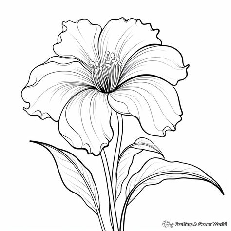 Single Flower Sketch, Pencil Flowers, Kids Art Poster, Printable Flower Coloring Pages, Kindergarten Coloring Pages, Flower Sketch, Printable Flower, Flower Sketches, Flower Stencil