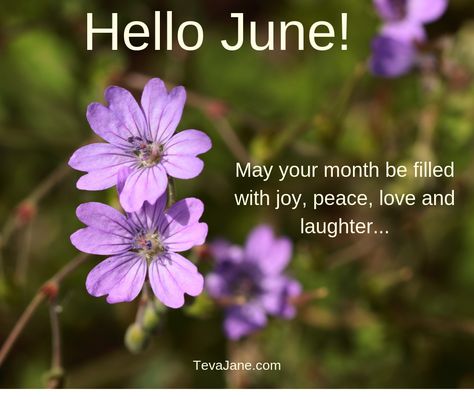 Happy June 1st, Good Morning Happy 1st Day Of June, Good Morning June 1st, Happy June 1st Quotes, 1st June Quotes, Happy June Quotes, June Welcome Quotes, 1st Of June Quote, June 1st Quotes