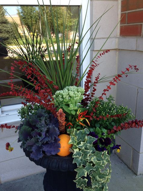 Fall Flower Pots, Fall Container Plants, Fall Window Boxes, Planter Arrangements, Fall Windows, Fall Container Gardens, Fall Containers, Container Garden Design, Fall Planters