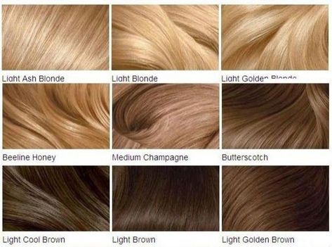 Medium Champagne Blonde Hair, Golden Beige Hair, Medium Golden Brown Hair Color, Blonde Hair Color Chart, Brown Hair Color Chart, Champagne Blonde Hair, Golden Brown Hair Color, Golden Brown Hair, Beige Hair