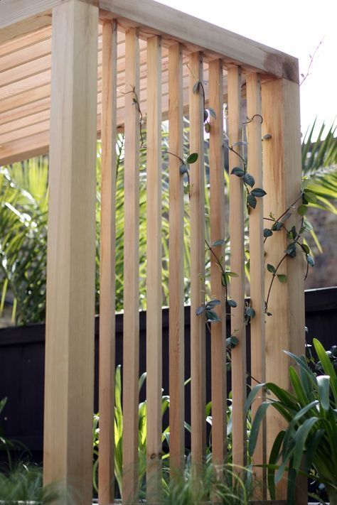 Garden Design London, Modern Courtyard, Cedar Pergola, Contemporary Garden Design, Modern Pergola, Courtyard Design, Pergola Design, Wooden Pergola, Backyard Pergola