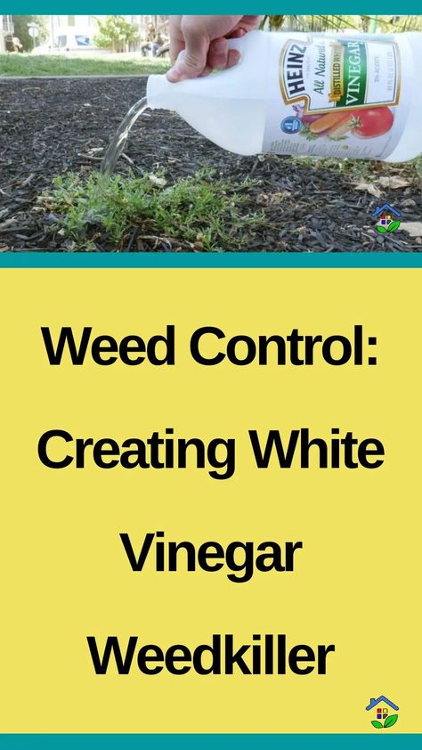 Safely eliminate weeds with a natural touch using homemade white vinegar weedkiller. Are you seeking solutions to get rid of all those annoying pesky weeds around your home and garden without using harsh chemicals? Say no more! We’ve got the easiest 7 recipes for making a natural weedkiller. I-Harness the Power of White Vinegar on […] Vinegar Kills Weeds, Vinegar Dawn Salt Weeds, Killing Weeds With Vinegar Diy, Vinegar For Weeds, Vinegar Mixture For Weeds, Killing Weeds With Vinegar And Salt, Uses For White Vinegar, Vinager And Salt To Kill Weeds, Make Your Home Smell Amazing