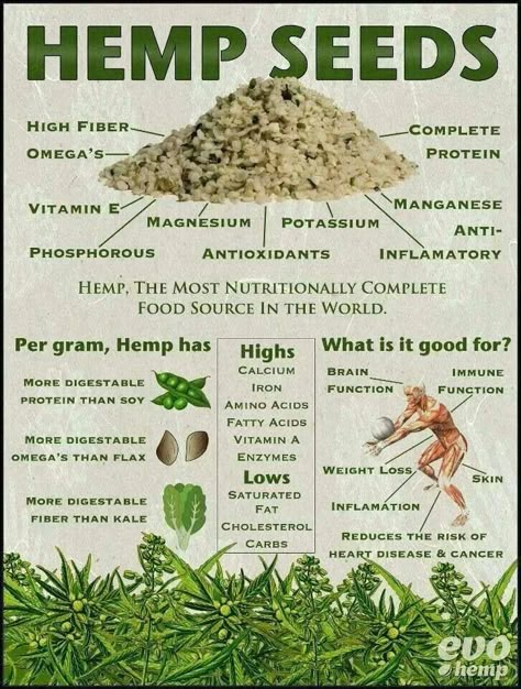 Hemp seeds Hemp Hearts, Leaky Gut, Healing Food, Oil Benefits, Healing Herbs, Hemp Seeds, Health Info, Vitamin D, Cbd Oil