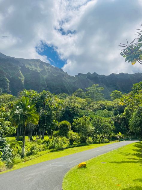 Hoomaluhia Botanical Gardens, Botanical Garden Oahu, Richard Chamberlain, Golden Life, Hawaii Life, Honolulu Hawaii, Hawaii Vacation, Oahu Hawaii, Vacation Places