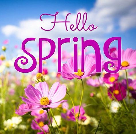 Welcome Spring Pictures, Hello Spring Quotes, New Month Greetings, Springtime Quotes, Spring Pics, 1st Day Of Spring, Hello April, Spring Words, Hello March