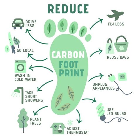 Hand-drawn footprint infographics | Free Vector #Freepik #freevector #infographic #template #chart #marketing Footprint Poster, Eco Quotes, Planning School, Environmentally Friendly Living, Save Our Earth, Foot Print, Vie Motivation, Eco Friendly Living, Green Life