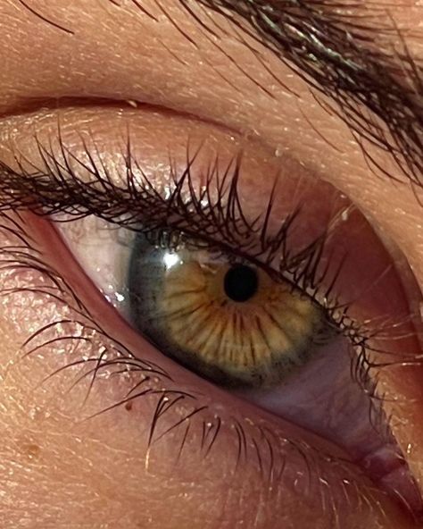 Kar’s Instagram profile post: “My window into the world” Pretty Eyes Color, Niqab Aesthetic, Eye Colours, Hazel Green Eyes, Beautiful Eyes Color, Hazel Green, Eye Close Up, Charming Eyes, Human Eyes