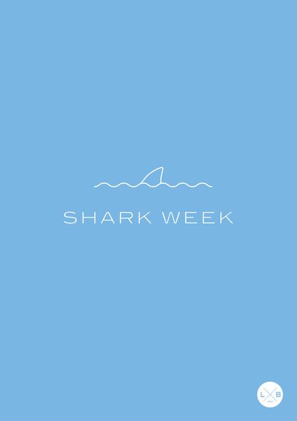 . Shark Week Wallpaper, Shark Stimboard, Shark Week Funny, Shark Meme, Shark Lady, Phone Makeover, Shark Week Party, Pet Shark, Save The Sharks