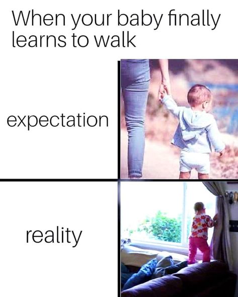 Expectations vs real life. Baby walking. #momlife #dadlife #parenting Toddler Meme Humor, Toddler Meme, Walking Quotes, Things Kids Say, Super Funny Pictures, Funny Quotes For Kids, Meme Humor, Funny Pictures For Kids, Funny Relationship Quotes