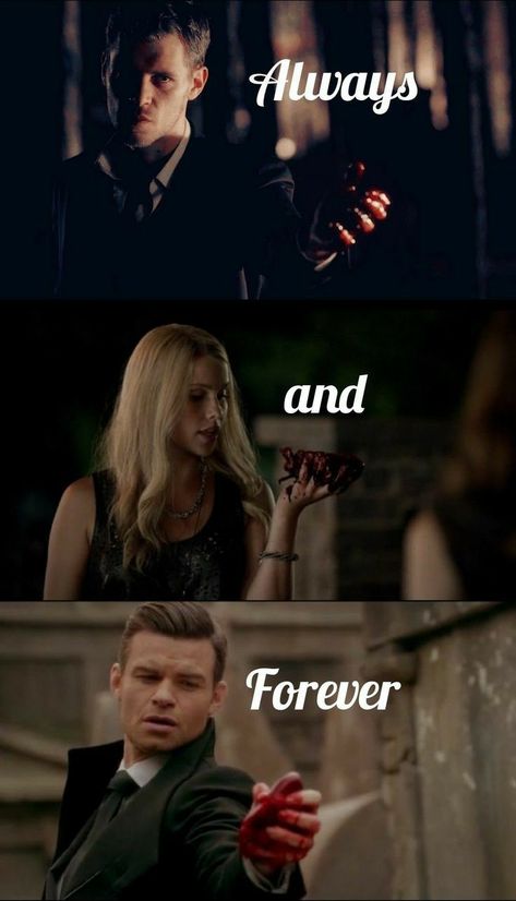 The Originals Klaus, Klaus Caroline, Klaus From Vampire Diaries, My New Life, Vampire Diaries Memes, The Vampire Diaries Characters, Klaus And Caroline, Vampire Diaries Poster, Vampier Diaries